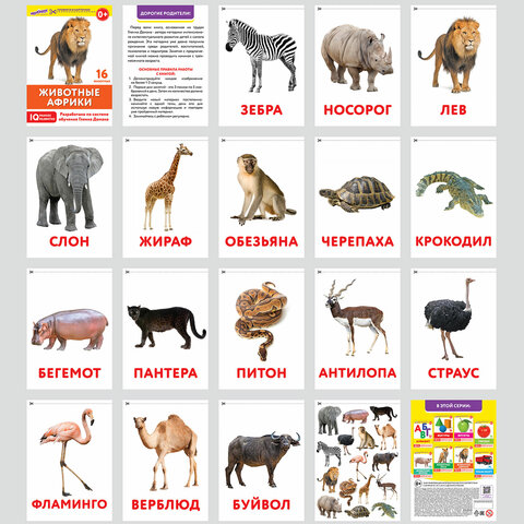 Карточки Домана, 8 развивающих брошюр по методике ГЛЕННА ДОМАНА, 145 изображений, ЮНЛАНДИЯ, 691022