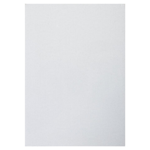 Картон белый А4 МЕЛОВАННЫЙ (белый оборот), 25 листов, BRAUBERG, 210х297 мм, 124021