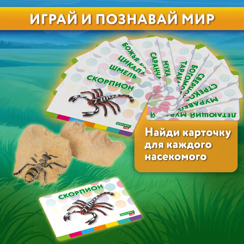 Набор для раскопок "Насекомые", 12 видов, карточки, инструменты, BRAUBERG KIDS, 665127