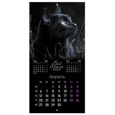 Календарь настенный перекидной 2026 г., BRAUBERG, 12 листов, 28,5х28,5 см, "Black esthetic", 116927