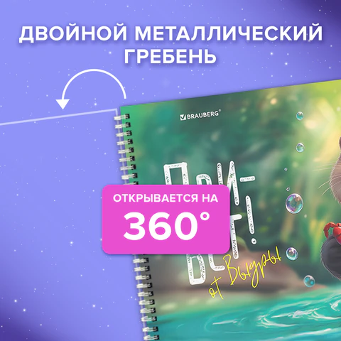 Альбом для рисования, пластиковая обложка, А4, 40 л., гребень, BRAUBERG, 210х297 мм, АССОРТИ-2 (8 видов), 107683