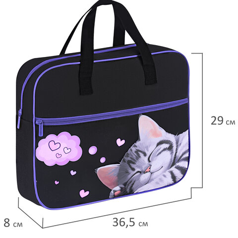 Папка на молнии с ручками BRAUBERG А4, 1 отделение, карман на молнии, 80 мм, "Sleeping kitten", 273309