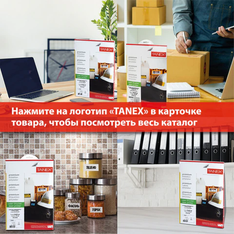 Этикетка самоклеящаяся ВСЕПОГОДНАЯ 210х297 мм, 1 этикетка, полиэстер, белая, 25 листов, TANEX, сырье Финляндия, 114545, TW-2000