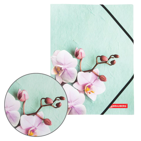 Папка на резинках BRAUBERG "FLOWER", А4, цветная печать, до 300 листов, 500 мкм, 228032