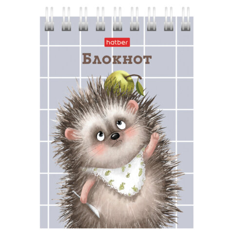 Блокнот МАЛЫЙ ФОРМАТ А7, 40 л., гребень, картон, клетка, HATBER, "Хорошо быть ёжиком", 081183, 40Б7В1гр