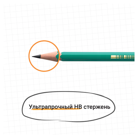 Карандаш чернографитный BIC, 1 шт., "Evolution", HB, с ластиком, корпус зеленый, 8803323