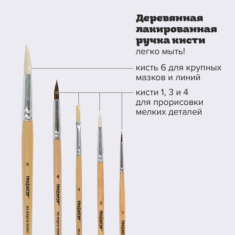 Кисти ПИФАГОР, набор 5 шт. (ПОНИ: круглые № 1, 4; КОЗА: круглые № 3, 6; ЩЕТИНА: плоская № 4), пакет с европодвесом, 200892