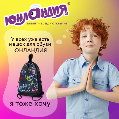 Мешок для обуви ЮНЛАНДИЯ с ручками, боковой карман на молнии, 46х36 см, "Graffiti", 272408