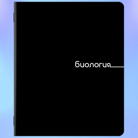 Тетради предметные, КОМПЛЕКТ 12 ПРЕДМЕТОВ, 48 л., обложка картон, BRAUBERG "BLACK", 405164