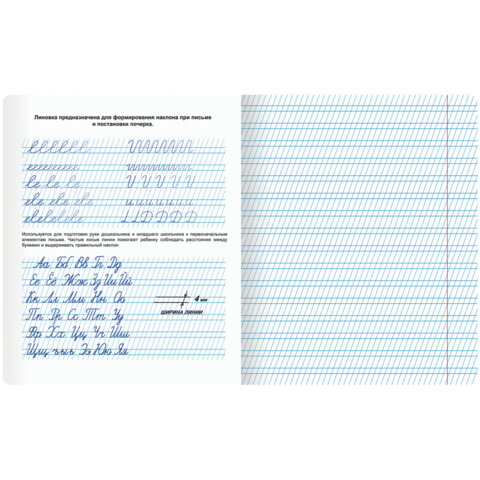 Тетрадь ПРОПИСЬ № 2 12 л. частая косая линия, со справочным материалом, ЮНЛАНДИЯ, 404852