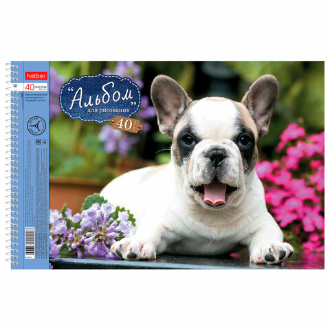 Альбом для рисования, А4, 40 листов, спираль, обложка картон, HATBER, 205х300 мм, "Любимцы" (5 видов), 004142, 40А4Всп