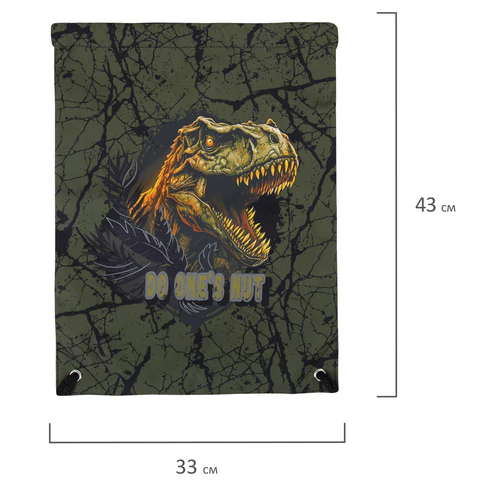 Мешок для обуви BRAUBERG PREMIUM, карман, подкладка, светоотражайка, 43х33 см, Dino attack, 272424