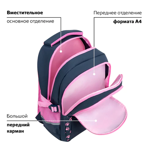 Рюкзак BRAUBERG VIBE, 2 отделения, 5 карманов, "Cat meeting", 40х28х14 см, 272089