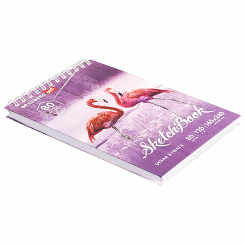 Скетчбук, белая бумага 120 г/м2 165х240 мм, 80 л., гребень, твердая обложка, BRAUBERG ART DEBUT, 112990