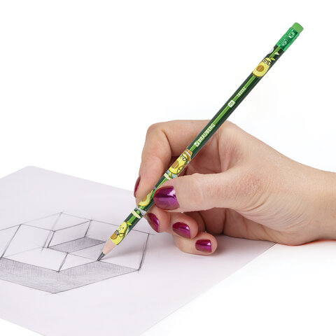 Набор карандашей чернографитных с принтом BRAUBERG "AVOCADO", 12 штук, HB, с ластиком, корпус ассорти, 182032