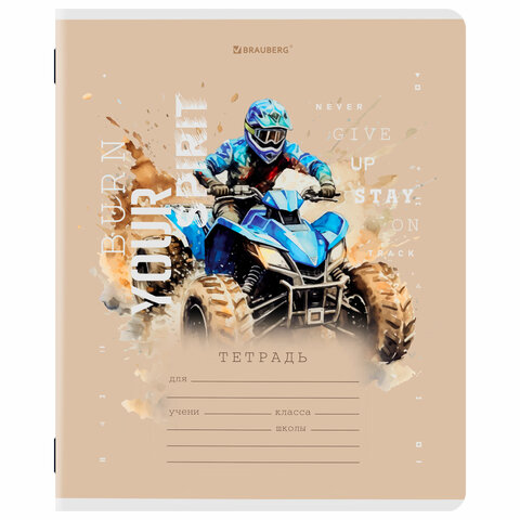 Тетрадь 12 л. BRAUBERG клетка, обложка картон, МИКС-3, 107270