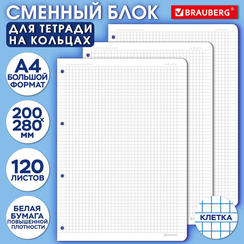 Сменный блок для тетради на кольцах БОЛЬШОЙ ФОРМАТ А4 120 л., BRAUBERG, ПОВЫШЕННОЙ ПЛОТНОСТИ, белый, 404516