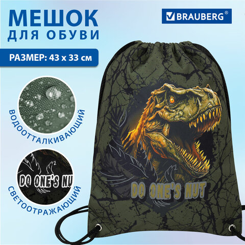 Мешок для обуви BRAUBERG PREMIUM, карман, подкладка, светоотражайка, 43х33 см, Dino attack, 272424