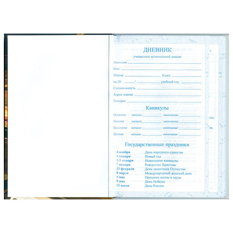 Дневник для музыкальной школы 140х210 мм, 48 л., твердый, BRAUBERG, справочный материал, "Концерт", 103279