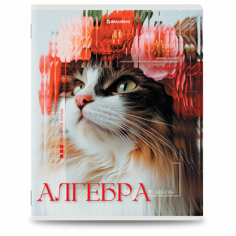 Тетради предметные, КОМПЛЕКТ 12 ПРЕДМЕТОВ, 48 л., глянцевый УФ-лак, BRAUBERG "ILLUSION", 405171