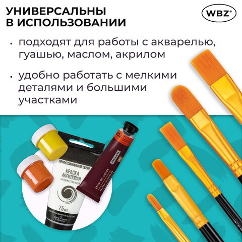 Кисти набор 10 шт., синтетика, черные, № 2/0-8 (Круглые; Овальные; Плоские; Лайнеры), WBZ (ВБЗ), 201084
