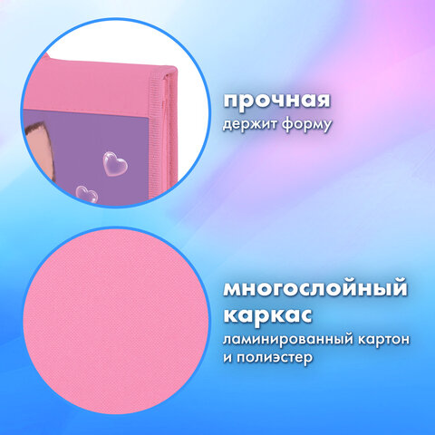 Папка на молнии BRAUBERG А4 с ручкой, с органайзером, 1 отделение, "Paw prints", 273383