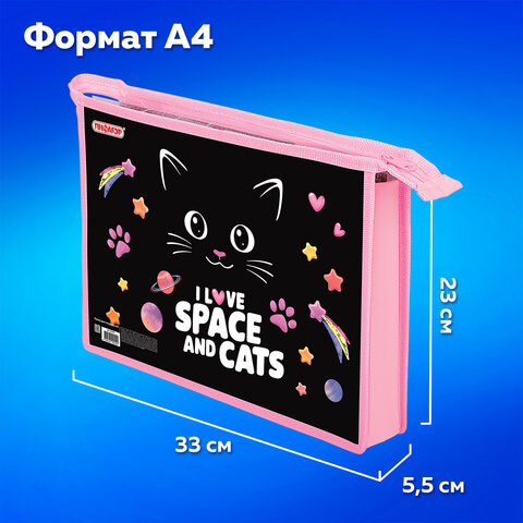 Папка для тетрадей ПИФАГОР А4, 1 отделение, картон/пластик, на молнии, "Dark kitten", 273339