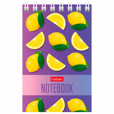 Блокнот МАЛЫЙ ФОРМАТ А7 65х100 мм, 40 л., гребень, картон, клетка, дисплей, HATBER, Ассорти, 031285, 40Б7B1гр