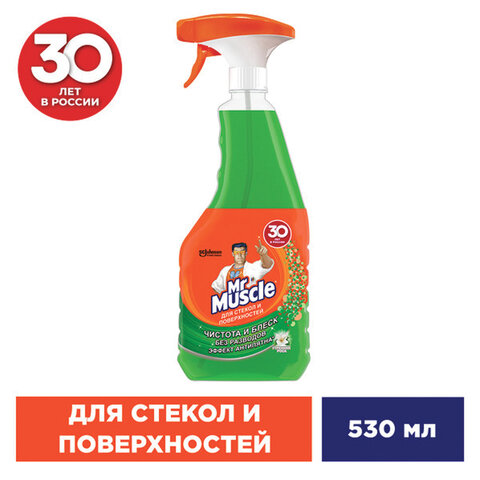 Средство для мытья стекол и зеркал 530 мл, МИСТЕР МУСКУЛ "Утренняя роса", распылитель