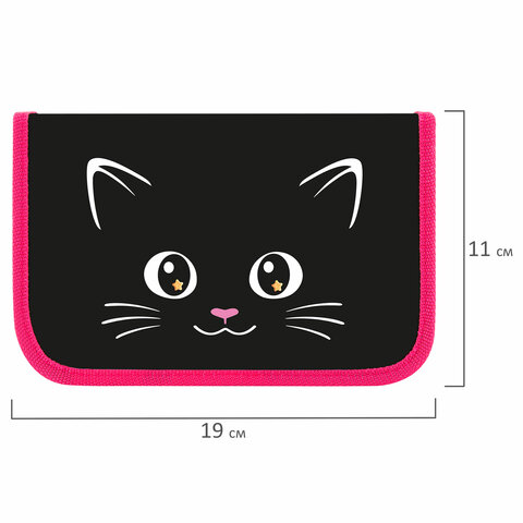 Пенал ПИФАГОР, 1 отделение, ламинированный картон, 19х11 см, "Dark kitten", 273467