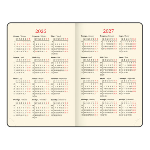 Ежедневник датированный 2026, МАЛЫЙ ФОРМАТ 100х150 мм, А6, BRAUBERG "Iguana", под кожу, коричневый, 117253