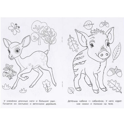 Книжка-раскраска "ПОПУЛЯРНЫЕ СЮЖЕТЫ" АССОРТИ, 145х210 мм, 16 страниц, "УМКА"