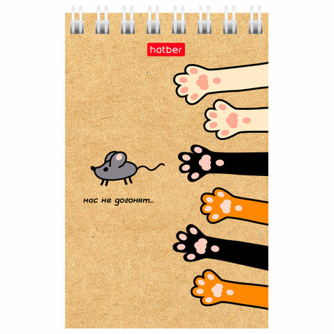 Блокнот МАЛЫЙ ФОРМАТ А7 65х100 мм, 40 л., гребень, картон, клетка, дисплей, HATBER, Ассорти, 031285, 40Б7B1гр