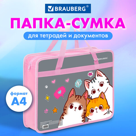 Папка на молнии с ручками BRAUBERG А4, 1 отделение, пластик, 80 мм, "Hi there", 273370