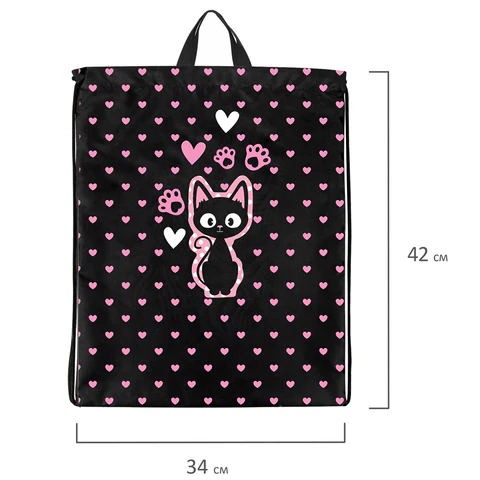 Мешок для обуви BRAUBERG KIDS, с петлей, 42х34 см, "Amazed cat", 271629