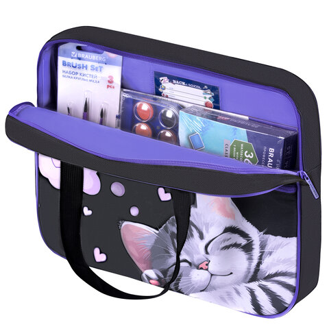 Папка на молнии с ручками BRAUBERG А4, 1 отделение, карман на молнии, 80 мм, "Sleeping kitten", 273309