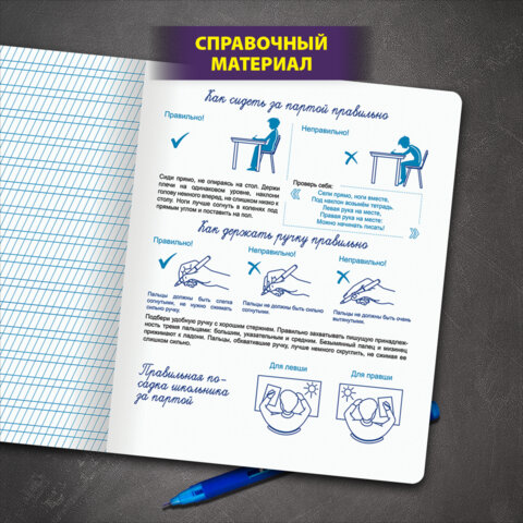 Тетрадь ПРОПИСЬ № 2 12 л. частая косая линия, со справочным материалом, ЮНЛАНДИЯ, 404852