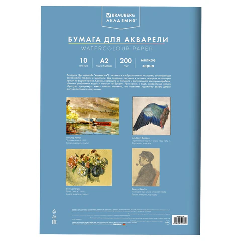 Папка для акварели БОЛЬШАЯ А2, 10 л., 200 г/м2, 400х590 мм, BRAUBERG АКАДЕМИЯ, "Полевые цветы", 117739