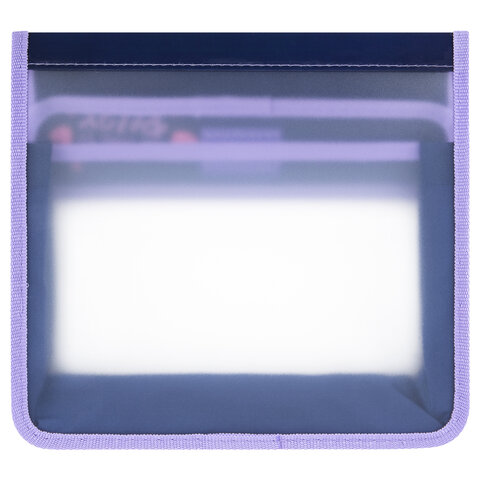 Папка для тетрадей ЮНЛАНДИЯ А5, пластик, 2 отделения, клапан на липучке, "Bored cat", 272189