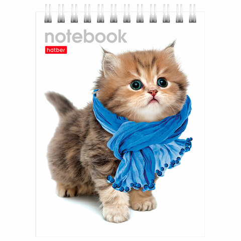 Блокнот МАЛЫЙ ФОРМАТ А6 110х145 мм, 40 л., гребень, лакированная обложка, клетка, HATBER, "Милые Котята", 004667, 40Б6B1гр