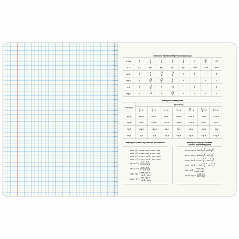 Тетради предметные, КОМПЛЕКТ 12 ПРЕДМЕТОВ, 48 л., TWIN лак, BRAUBERG "МЕМЫ", 405172