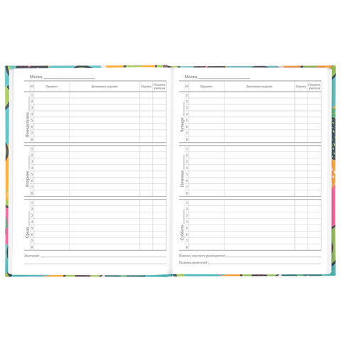 Дневник 5-11 класс 48 л., твердый, BRAUBERG, блестки, с подсказом, "Avocado", 106419