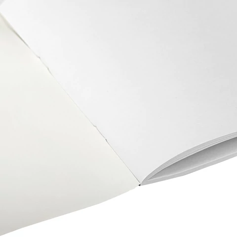 Альбом для рисования А4 40 л., скоба, обложка картон, BRAUBERG, 203х288 мм, "Аниме" (2 вида), 106703