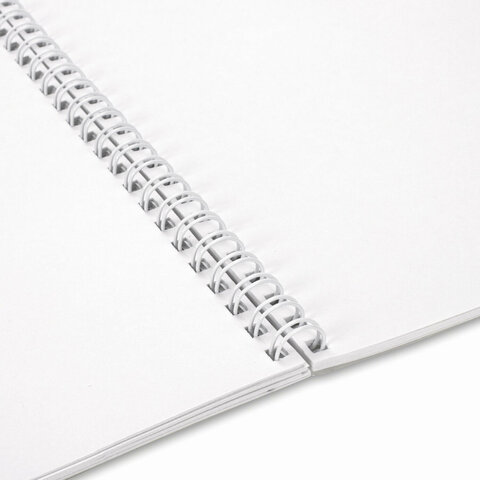 Альбом для рисования А4, 40 л., гребень, обложка картон, BRAUBERG, 195х285 мм, "АНИМЕ" (4 вида), 107119