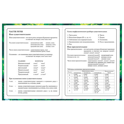Дневник 1-4 класс 48 л., твердый, BRAUBERG, глянцевая ламинация, с подсказом, "Панда", 107158.