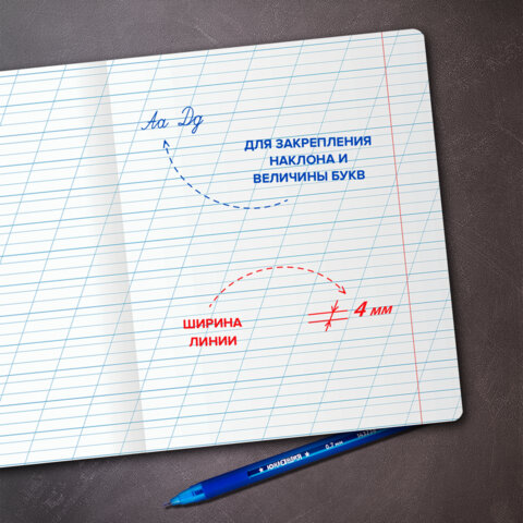 Тетрадь ПРОПИСЬ № 3 12 л. косая линия с ДОПОЛНИТЕЛЬНОЙ ГОРИЗОНТАЛЬНОЙ, со справочным материалом, ЮНЛАНДИЯ, 404853