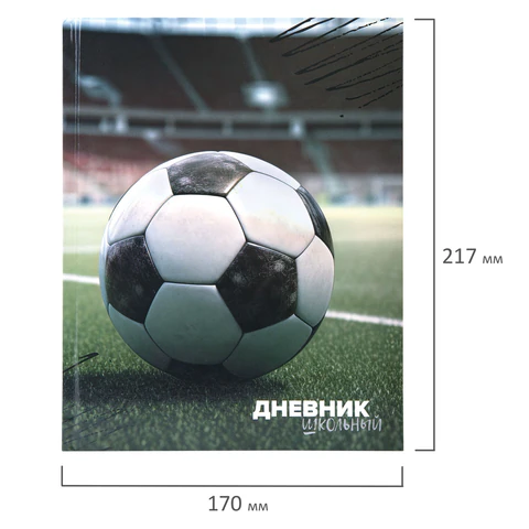 Дневник 1-4 класс 48 л., твердый, ЮНЛАНДИЯ, глянцевая ламинация, с подсказом, "Футбол", 107583