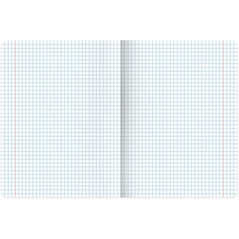 Тетрадь предметная "PASTEL" 48 л., SoftTouch, фольга, ХИМИЯ, клетка, BRAUBERG, 404320