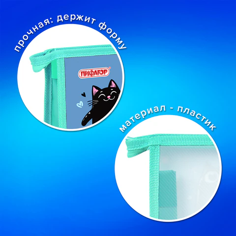 Папка на молнии с ручками ПИФАГОР А4, 1 отделение, пластик, ручки-шнурок, "Funny cats", 273353