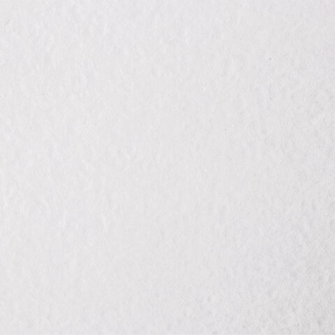 Бумага для акварели А4 210х297 мм, 1 лист, 200 г/м2, ГОЗНАК СПб, зерно, BRAUBERG ART CLASSIC, 113208